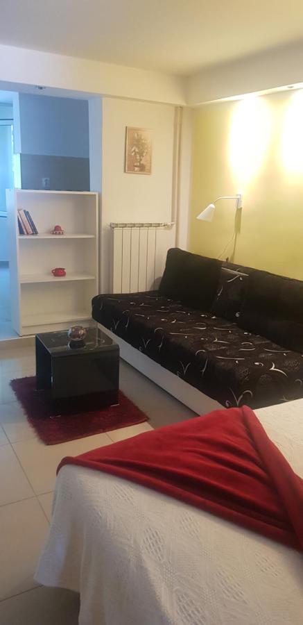 Apartment A&D Pancevo Bagian luar foto