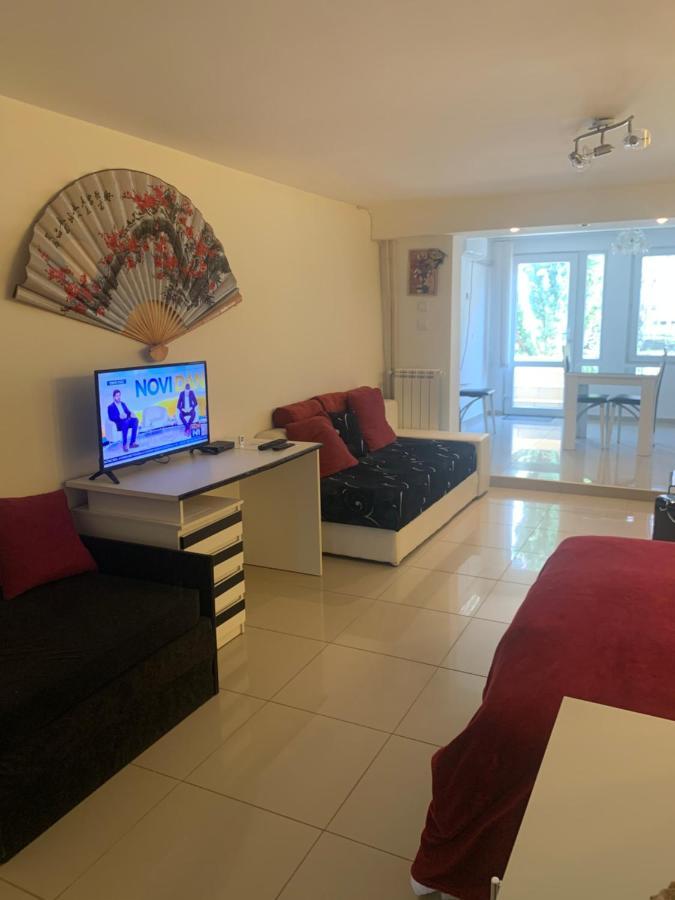 Apartment A&D Pancevo Bagian luar foto